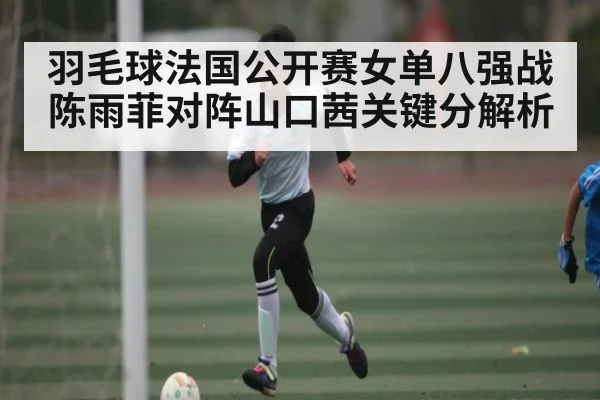 羽毛球法国公开赛女单八强战陈雨菲对阵山口茜关键分解析